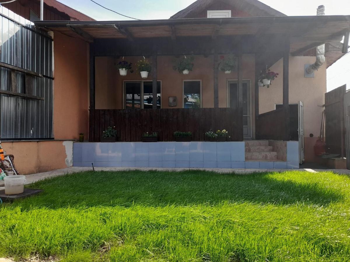 Casa zona centrala Tulcea Exterior foto